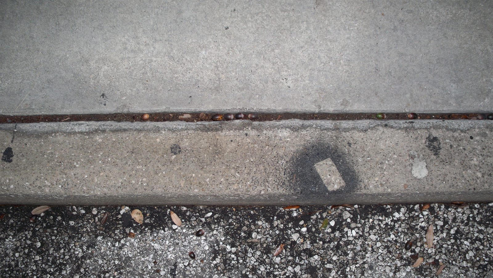 Documentation photograph of a concrete curb and step edge with scuff mark in a trip-and-fall investigation